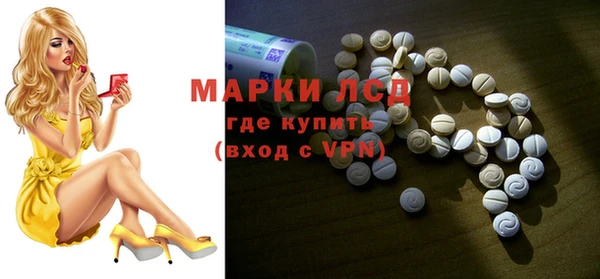 PSILOCYBIN Ельня