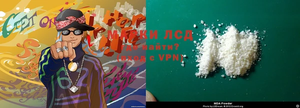 PSILOCYBIN Ельня