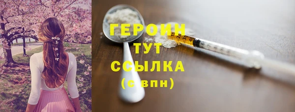 PSILOCYBIN Ельня
