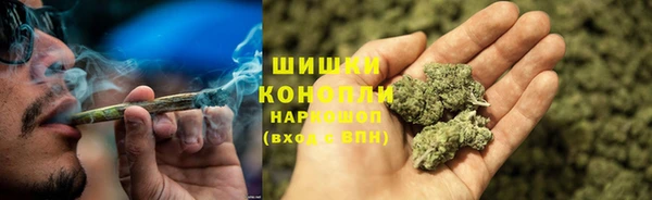 крисы Елизово