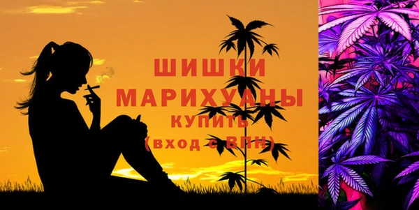 PSILOCYBIN Ельня