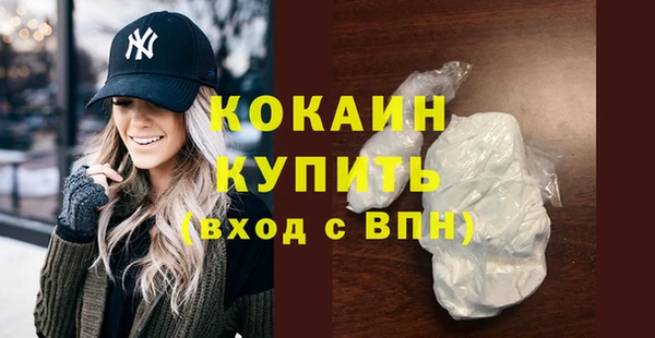 PSILOCYBIN Ельня