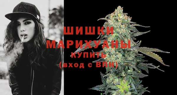PSILOCYBIN Ельня
