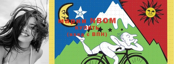 PSILOCYBIN Ельня