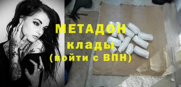 PSILOCYBIN Ельня