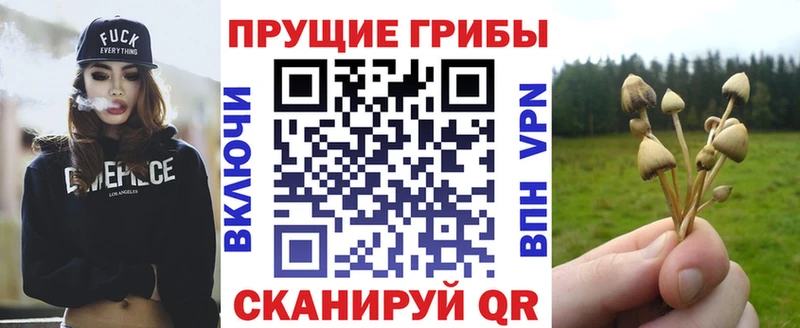 Галлюциногенные грибы GOLDEN TEACHER  Купить закладки  Вихоревка 